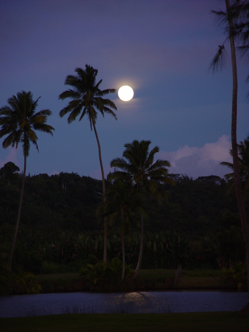 Full moon rise by the Hanalei river