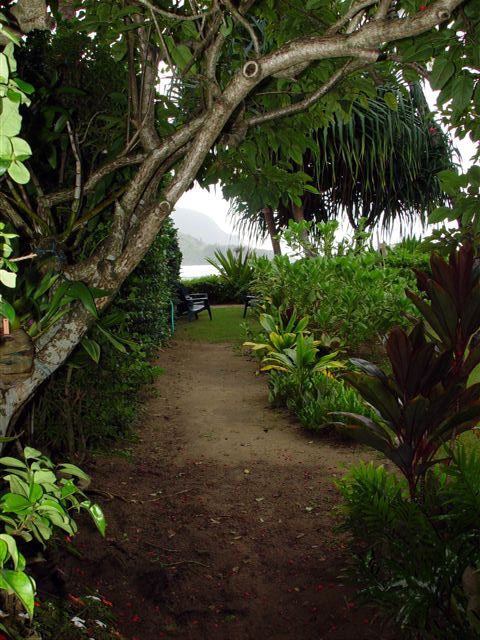 The beach path, a mere seventy steps to Hanalei Beach
