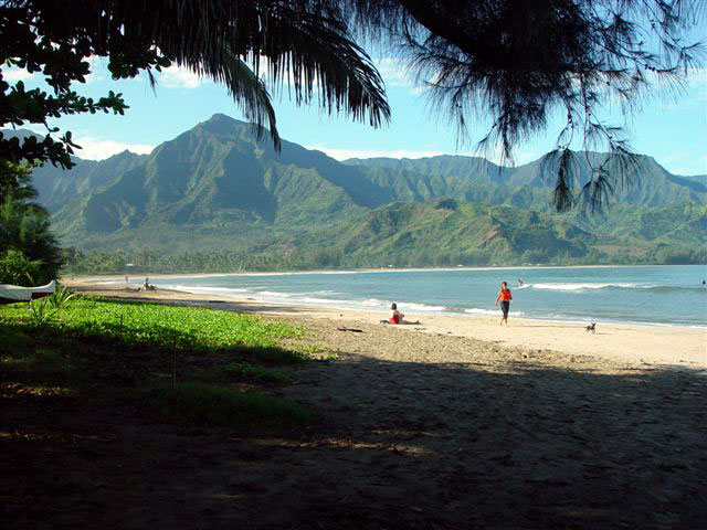 Hanalei Beach from in front of the property.