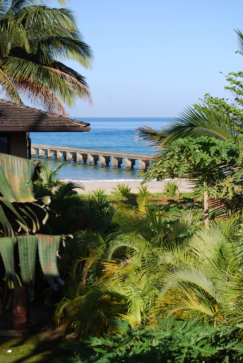 View from the master bedroom deck