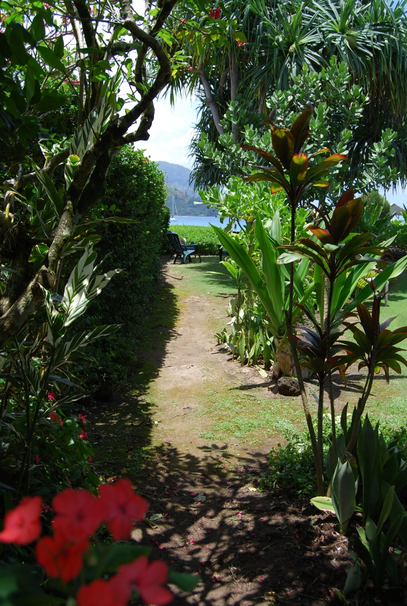 Your private path, a mere 70 strides to Hanalei Bay!