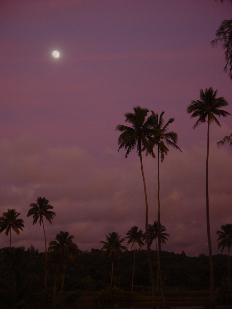 Moonrise across the street