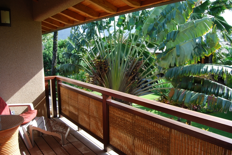 Lush vegetation surrounds the house